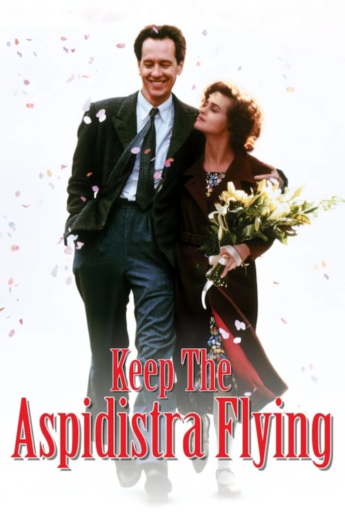 Keep the Aspidistra Flying poster
